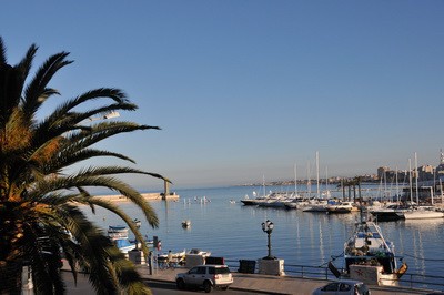 bari1