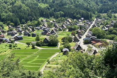 o0400026615316797285