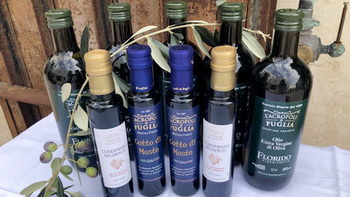 olio 2020
